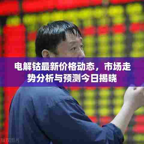 电解钴最新价格动态,市场走势分析与预测今日揭晓