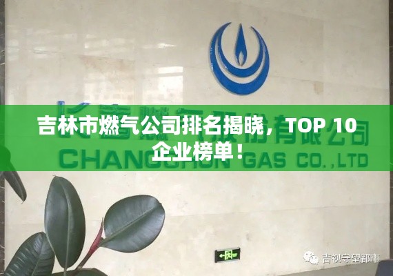吉林市燃气公司排名揭晓，TOP 10企业榜单！
