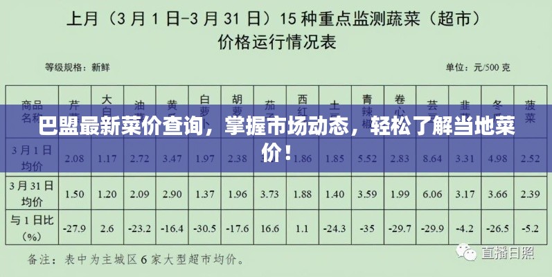 巴盟最新菜价查询，掌握市场动态，轻松了解当地菜价！