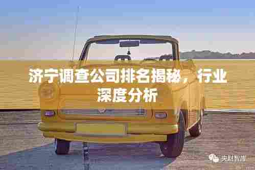 济宁调查公司排名揭秘，行业深度分析