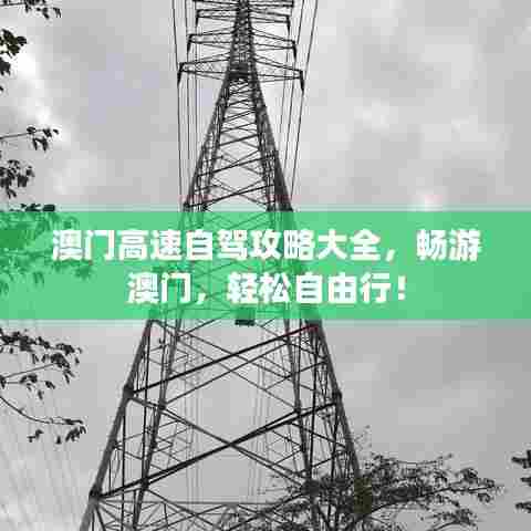 澳门高速自驾攻略大全，畅游澳门，轻松自由行！