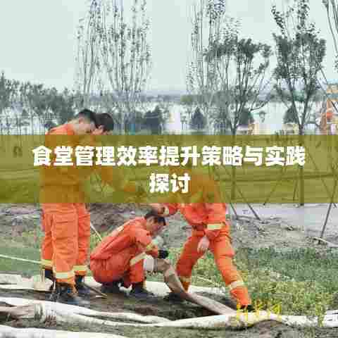 食堂管理效率提升策略与实践探讨