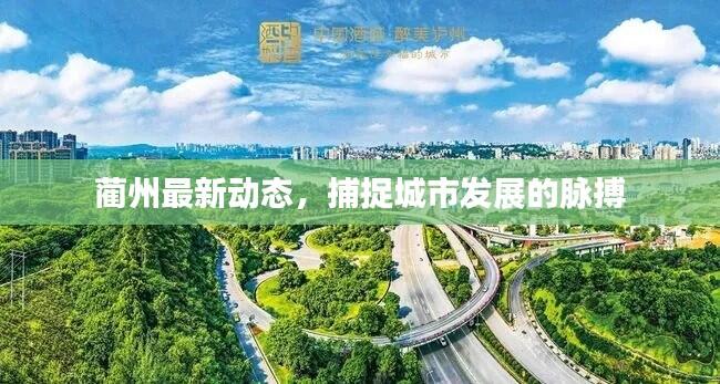 蔺州最新动态，捕捉城市发展的脉搏