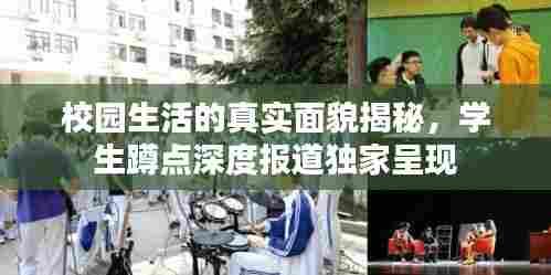 校园生活的真实面貌揭秘，学生蹲点深度报道独家呈现