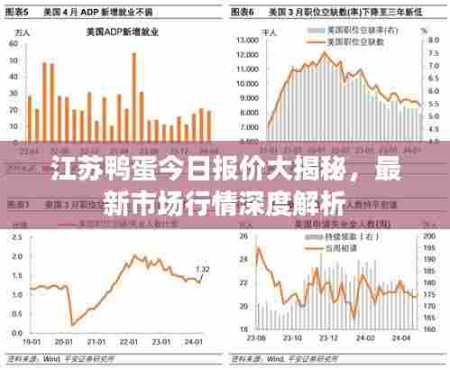 江苏鸭蛋今日报价大揭秘，最新市场行情深度解析