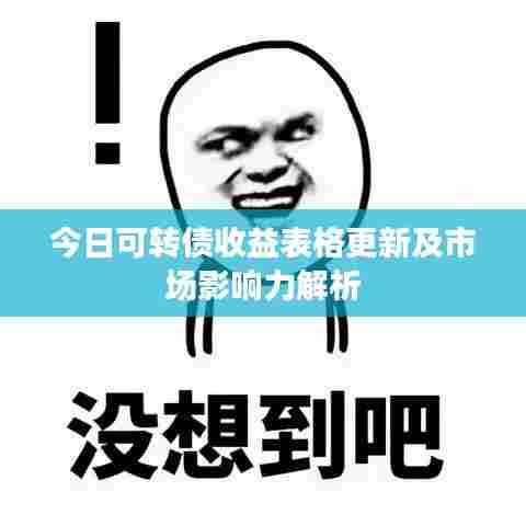 今日可转债收益表格更新及市场影响力解析