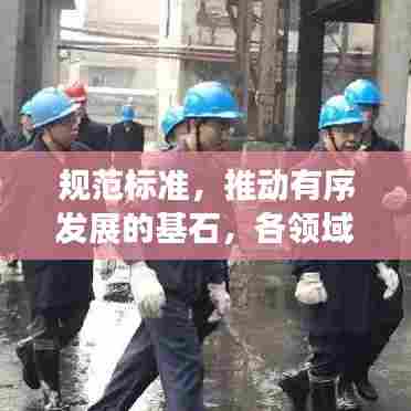 规范标准，推动有序发展的基石，各领域实现稳步前行