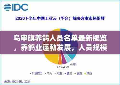 乌审旗养鸽人员名单最新概览，养鸽业蓬勃发展，人员规模持续扩大