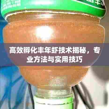 高效孵化丰年虾技术揭秘，专业方法与实用技巧