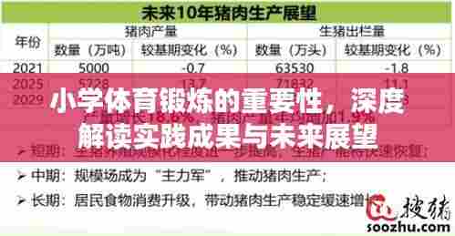 小学体育锻炼的重要性，深度解读实践成果与未来展望