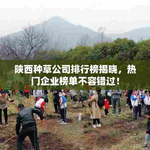 陕西种草公司排行榜揭晓，热门企业榜单不容错过！
