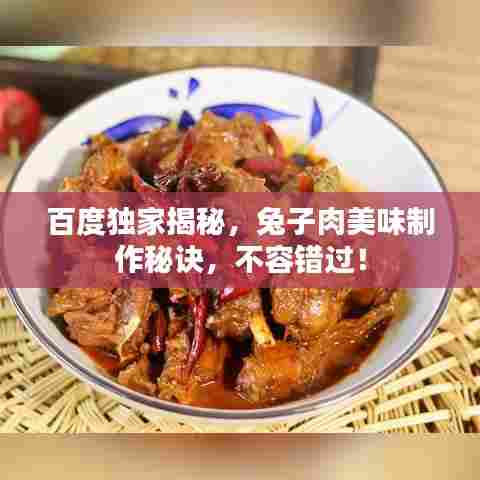 百度独家揭秘，兔子肉美味制作秘诀，不容错过！