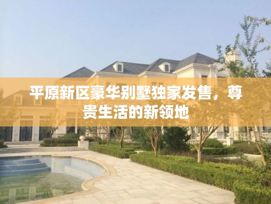 平原新区豪华别墅独家发售，尊贵生活的新领地