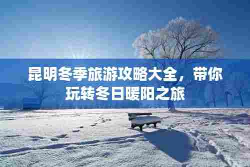 昆明冬季旅游攻略大全，带你玩转冬日暖阳之旅