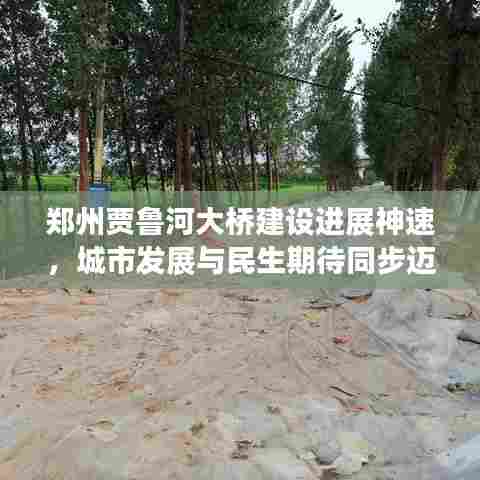 郑州贾鲁河大桥建设进展神速，城市发展与民生期待同步迈向新篇章