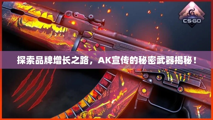 探索品牌增长之路，AK宣传的秘密武器揭秘！