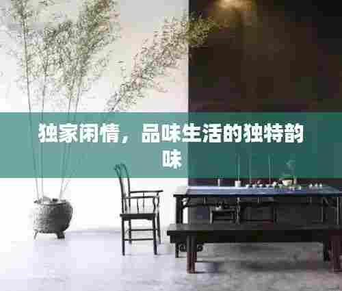 独家闲情，品味生活的独特韵味