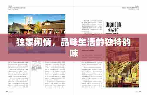 独家闲情,品味生活的独特韵味