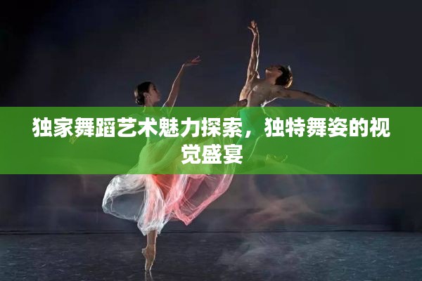 独家舞蹈艺术魅力探索，独特舞姿的视觉盛宴