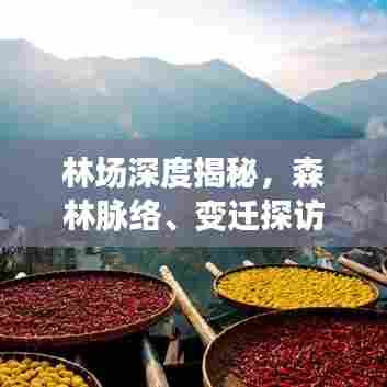 林场深度揭秘，森林脉络、变迁探访之旅