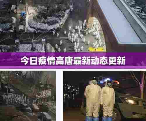 今日疫情高唐最新动态更新