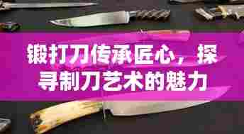 锻打刀传承匠心，探寻制刀艺术的魅力专题视频