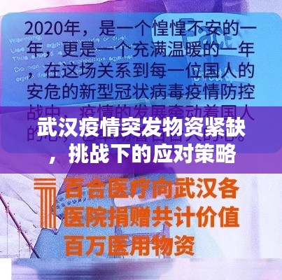 武汉疫情突发物资紧缺，挑战下的应对策略