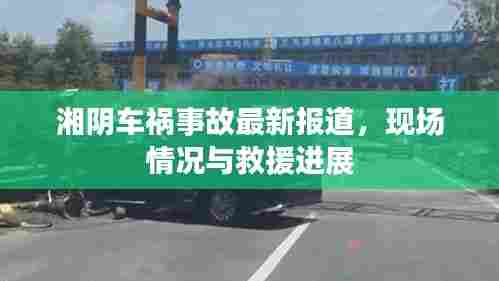 湘阴车祸事故最新报道,现场情况与救援进展