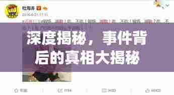 深度揭秘，事件背后的真相大揭秘