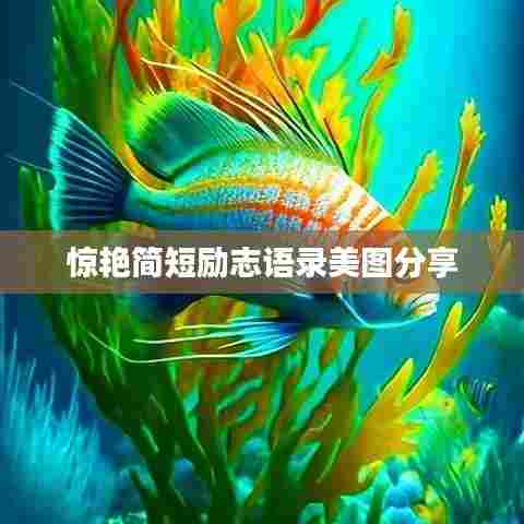 惊艳简短励志语录美图分享