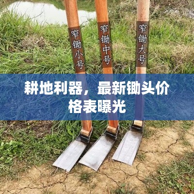 耕地利器，最新锄头价格表曝光