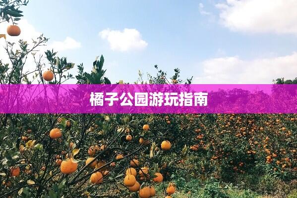 橘子公园游玩指南
