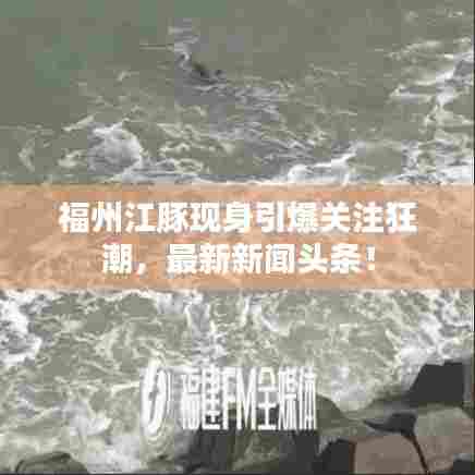 福州江豚现身引爆关注狂潮，最新新闻头条！