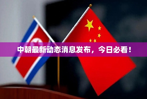 中朝最新动态消息发布，今日必看！