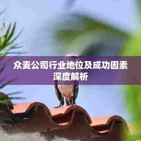 众麦公司行业地位及成功因素深度解析