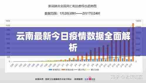 云南最新今日疫情数据全面解析