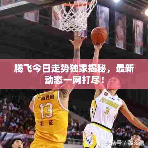 腾飞今日走势独家揭秘，最新动态一网打尽！