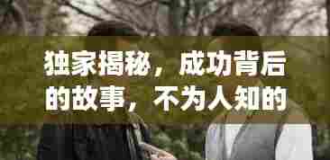 独家揭秘,成功背后的故事,不为人知的幕后真相!