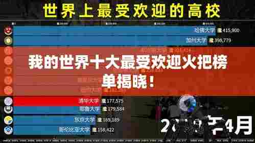 我的世界十大最受欢迎火把榜单揭晓!