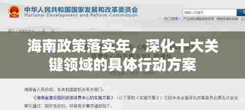 海南政策落实年，深化十大关键领域的具体行动方案