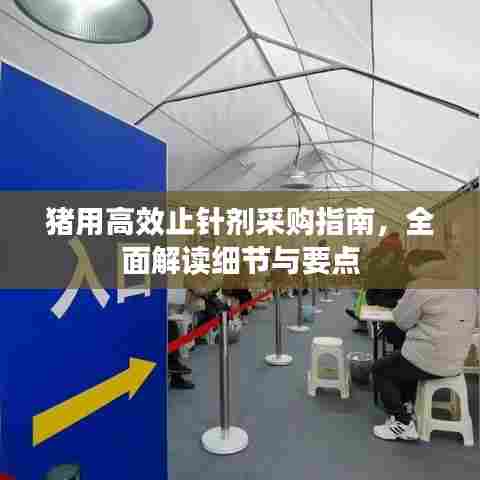 猪用高效止针剂采购指南，全面解读细节与要点