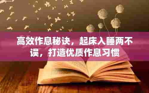 高效作息秘诀，起床入睡两不误，打造优质作息习惯