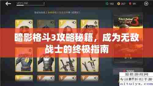 暗影格斗3攻略秘籍，成为无敌战士的终极指南