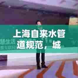 上海自来水管道规范，城市供水质量的保障基石