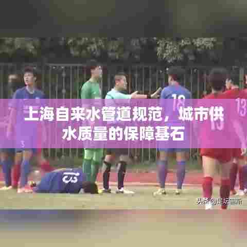 上海自来水管道规范,城市供水质量的保障基石