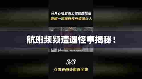 航班频频遭遇怪事揭秘！