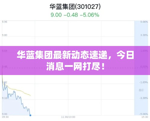 华蓝集团最新动态速递，今日消息一网打尽！
