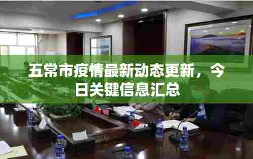 五常市疫情最新动态更新，今日关键信息汇总