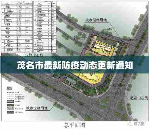 茂名市最新防疫动态更新通知