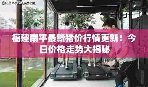 福建南平最新猪价行情更新！今日价格走势大揭秘